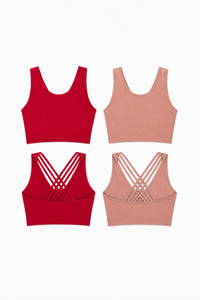 CoreFit Seamless Sports Bra - 2-Pack in Persian Red / White