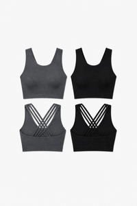 CoreFit Seamless Sports Bra - 2-Pack in Urban Chic / Black