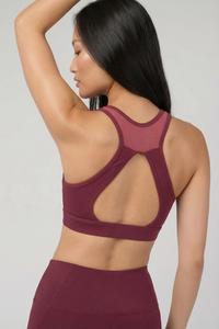 CoreFit Sports Bra