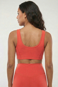 Fashion Crop Sports Bra