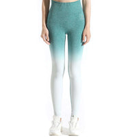 SoftTouch Ombre Legging
