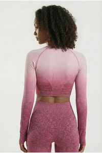 SoftTouch Ombre Long Sleeve Crop Top